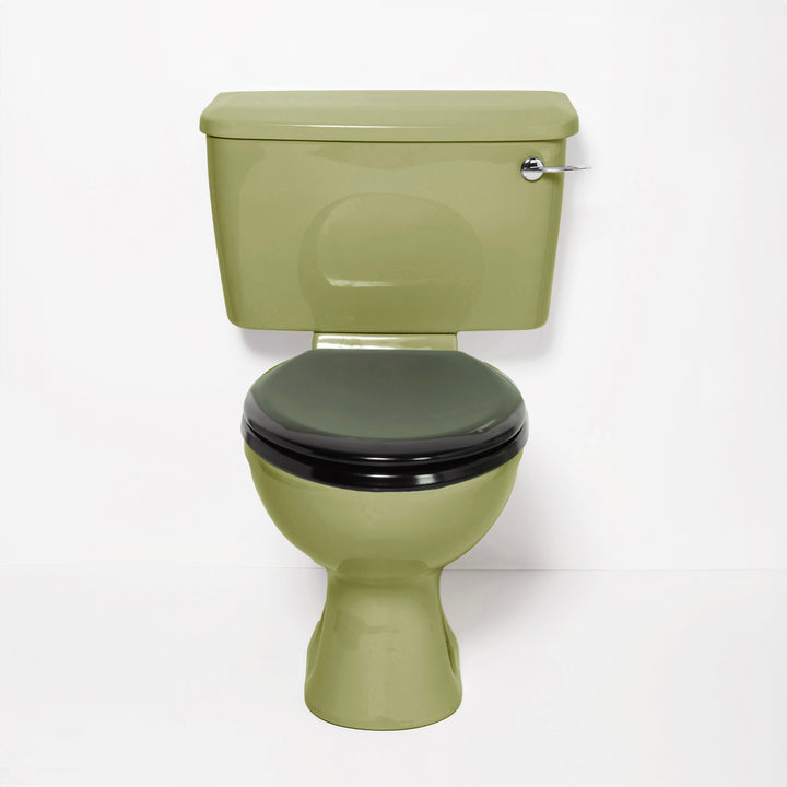 Retro Cloakroom Set Avocado toilet sink The Bold Bathroom Company